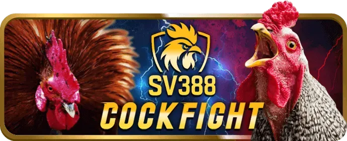 Cá cược bóng rổ fbc8 win